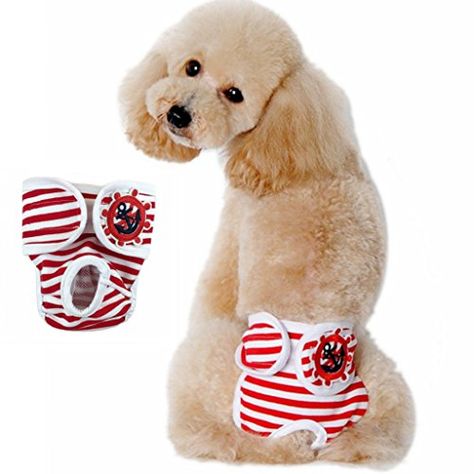 Visky Pet Female Hygienic Sanitary Pant Reusable Reusable Dog Diapers Red Double Extra Large 2Pack *** Find out more about the great product at the image link.(This is an Amazon affiliate link and I receive a commission for the sales) Dog Pants, Pet Dogs Puppies, Dog Diapers, Dog Activities, Cat Clothes, Pet Supplies Dog, Pet Grooming, Pet Dog, Large Dogs