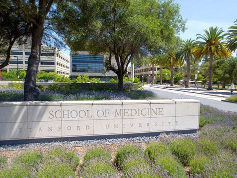 Stanford Medical School, Best Medical Schools, University Inspiration, 10 Year Plan, Usa University, Med School Motivation, University Architecture, Career Vision Board, University School