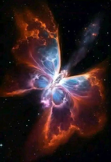 The James Webb Space Telescope (JWST) | The Butterfly Nebulae Captured by Hubble | Facebook Hubble Telescope Pictures, Hubble Telescope Images, Butterfly Nebula, Galaxy Artwork, Hubble Space Telescope Images, Planetary Nebula, Eagle Nebula, Nebula Wallpaper, Telescope Images