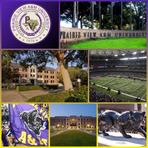 My Alma Mater. Prairie View A&M University. Established during the reconstruction period after the civil war, PVU was the first state supported College in Texas for African-Americans. Proud to be Alumni Pv University, Pvamu Aesthetic, Prairie View A M University, Graduation Board, Thug Life Wallpaper, Luxury Goals, Probation Officer, College Things, Life After High School