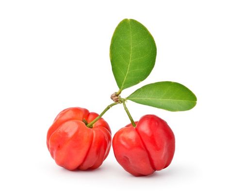 Fruit Bats, Pretty Hurts, Acerola Cherry, Brazilian Cherry, Fruit Market, Fruit Bat, Cherry Fruit, Green Leaf, Premium Photo