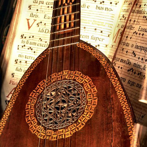 Lute Aesthetic, Lute Instrument, Tiefling Bard, Bard College, Captive Prince, Yennefer Of Vengerberg, Targaryen Aesthetic, High Elf, Interesting Photos