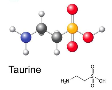 Taurine Benefits, Gallbladder Surgery Diet, Gallbladder Surgery, Reducing High Blood Pressure, Sciatic Nerve Pain, My Energy, Skeletal Muscle, Blood Sugar Control, Reduce Cholesterol