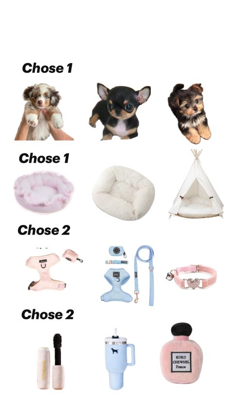 Preppy Cheetah, Dog Room Design, Dog Shopping, Puppy Essentials, Dog Supplies List, Puppy Items, Cute Drawings Of Love, Preppy Dog, Hello Kitty Phone Case