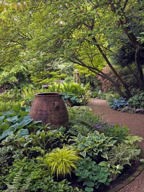 Lobelia Cardinalis, Shade Garden Design, Hgtv Garden, Shade Garden Plants, Desain Lanskap, Thriving Garden, Have Inspiration, The Secret Garden, Garden Pictures