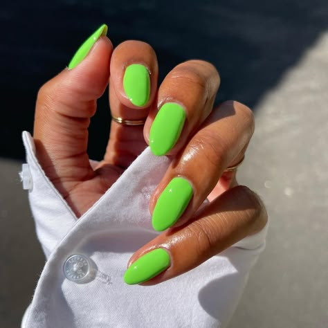 Shade: Pavilion Garden ____ #peacci #nails #nailinspo Orange And Lime Green Nails, Green And Blue Summer Nails, Like Green Nails, Blue Gold Nails, Blue Nail Polish Colors, Lime Nails, Lime Green Nails, Foundation Swatches, Neon Green Nails