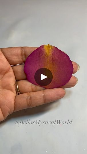 21K views · 19K reactions | Rose Petal
.
.
.
Resin: @letsresin 🔗 Link in my bio 

#resin #resinart #resinartist #resinartlove #resinobsession #resincraft #resincrafts 
#resincrafting #resinpour #epoxyart #epoxyresin #satisfyingresin #resinartwork #resinmolds #craftymom #craftymama #artreels #artreel #resinshop #resininspo #resindemolding #shopsmall #demolding #mamamaker #instagood #instadaily | Arlene • Bella’s Mystical World | thepsychdoctormd · Original audio Flower Petals Resin, Preserve Rose In Resin, Rose Petal Resin, Resin Art Pendant Rose, Rose Petal Resin Pendant, Resin Pour, Mystical World, Crafty Mama, Resin Artwork