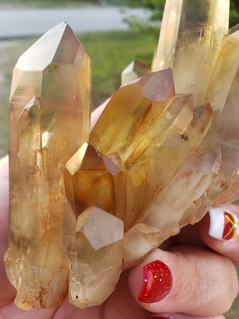 Citrine Cluster, Holiday Schedule, Us Holidays, Gemstones Crystals, Columbus Day, Blue Fluorite, Sun Set, Natural Citrine, Experience Gifts