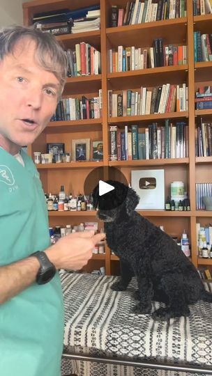 Yeast In Dogs, Dental Hacks, Dog Deodorizer, Dog Coughing, Dog Hot Spots, Meds For Dogs, 200k Views, Dog Skin Care, Dogs Ears Infection