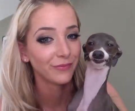 Jenna Marbles and Kermit Kermit is smiling :P Jenna Marbles, Snoop Dog, Thursday Morning, Smiling Dogs, Italian Greyhound, Whippet, New People, Greyhound, Funny Cute