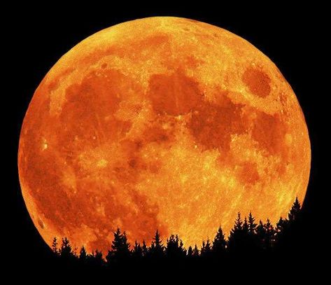 Orange Halloween Wallpaper, Faces Of The Moon, Moon Effect, October Full Moon, Lunar Eclipse Tonight, Hunter Moon, Werewolf Makeup, Werewolf Transformation, Full Moon Names