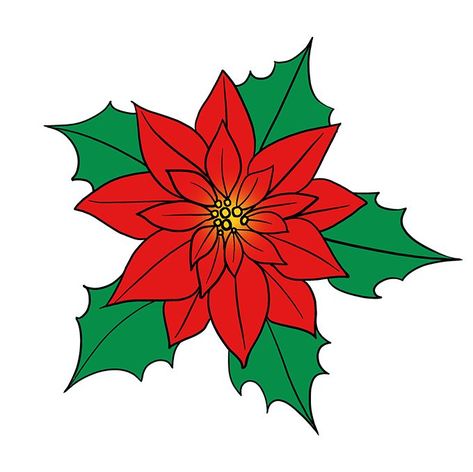 Draw A Poinsettia, Nightmare Before Christmas Drawings, Christmas Arts And Crafts, Easy Drawing Tutorial, Christmas Doodles, Christmas Rock, Poinsettia Flower, Christmas Poinsettia, Plant Painting