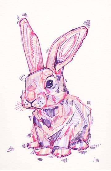 Pencil Color Drawing Animals, 2023 Rabbit Illustration, Colored Marker Art, Colored Pencil Animal Art, Colorful Bird Drawing, Colored Pen Drawing Ideas, Pen Art Colorful, Marker Art Animals, Marker Ideas Drawing