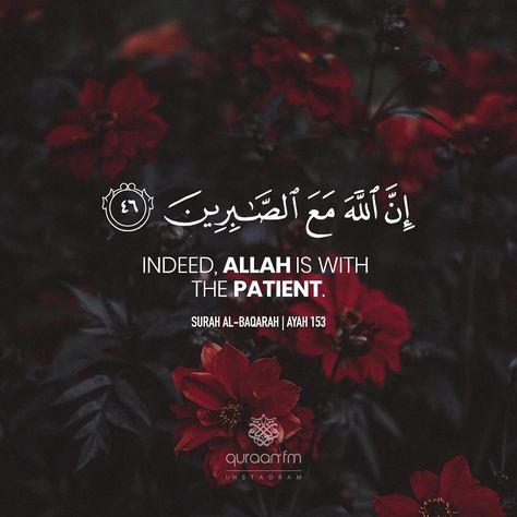 "Indeed, Allah is with the patient." - [Surah Al-Baqarah | Ayah 153]  Receive Quran Recitations via WhatsApp. WhatsApp your "Name" to +27745000222. Quran Ayat, Coran Quotes, Flower Text, Muslim Quran, Ayat Quran, Ayat Al-quran, Islamic Quotes Wallpaper, Learn Quran, Quran Recitation