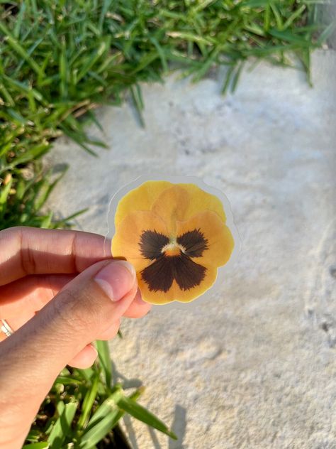 Viola Pressed Flower Sticker Pansy Vinyl Sticker Floral - Etsy Botanical Line Drawing, Flower Stickers, Marigold Flower, Pressed Flower Art, Sticker Cute, Nursery Art Prints, Flower Prints Art, Clear Stickers