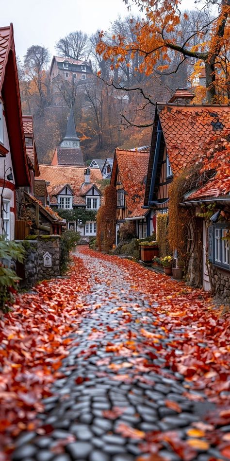 Autumn Scenery Aesthetic, Autumn Season Wallpaper, Autumn Aesthetic Cozy Wallpaper, Fall Window Display Store Fronts Autumn, Foto Halloween Aesthetic, Soulful Home, Autumn Nature Aesthetic, Red Autumn Aesthetic, Autumn Landscape Wallpaper