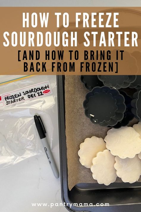 How To Revive Frozen Sourdough Starter, Frozen Sourdough Starter, Freeze Dry Sourdough Starter, How To Freeze Sourdough Starter, Freeze Dried Sourdough Starter, Freezing Sourdough Starter, Freezer Friendly Sourdough Recipes, How To Rehydrate Sourdough Starter, Dehydrating Sourdough Starter