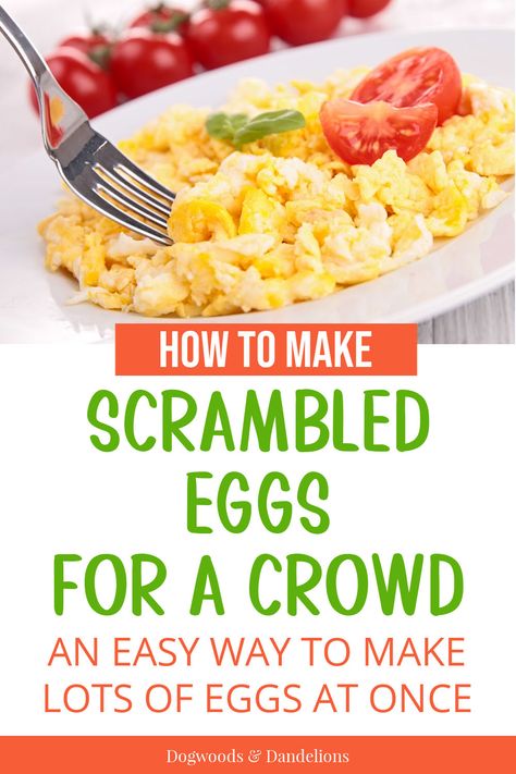 a plate of scrambled eggs with tomatoes and basil How To Keep Eggs Warm For A Party, Oven Scrambled Eggs For A Crowd, Eggs In Waffle Maker, Scrambled Eggs In The Oven, Scrambled Eggs For A Crowd, Retreat Recipes, Scrapple Recipe, Eggs For A Crowd, Oven Scrambled Eggs