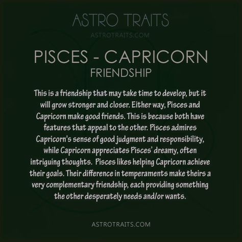 Capricorn Pisces Friendship, Pisces X Capricorn, Pisces Best Friend, Capricorn Compatibility Chart, Capricorn And Pisces Compatibility, Capricorn Meme, Capricorn And Pisces, Capricorn Relationships, Capricorn Compatibility