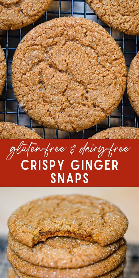 Sugar Free Ginger Snaps, Keto Ginger Snaps, Gluten Free Cookies Recipes, Gluten And Dairy Free Snacks, Gf Ginger Snaps, Vegan Ginger Snaps, Gluten Dairy Free Desserts, Almond Flour Ginger Snaps, Gluten Free Gingersnaps