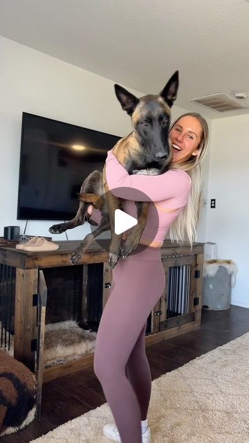 Female Malinois, Funny Huskies, Malinois Training, Malinois Funny, Cute Big Dogs, Leonberger Puppy, Belgian Malinois Puppies, Belgium Malinois, Malinois Puppies