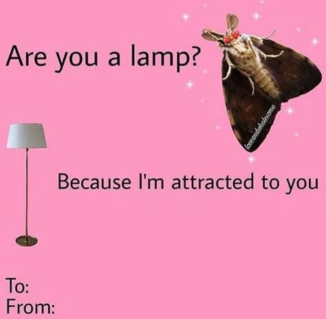 Meme Valentines Cards, Bad Valentines, Cheesy Valentine, Valentines Memes, Valentines Day Memes, Funny Valentines Cards, Cute Love Memes, My Funny Valentine, Cute Messages