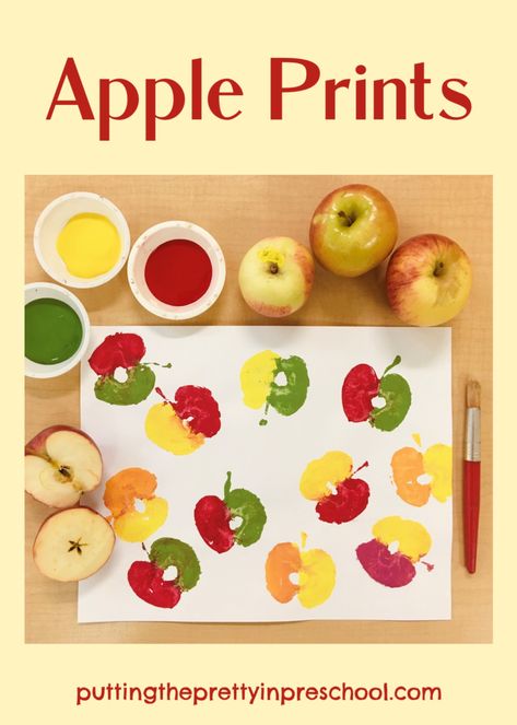 Apple print activities. Dip and paint apple halves and slices and press them onto art paper. Save some prints for fingerplays and counting. Preschool Apple Unit, Easy Fall Crafts For Kids, Preschool Valentines Activities, Apple Crafts, Kindergarten Art Projects, Easy Art For Kids, Thanksgiving Activities For Kids, Apple Activities, Apple Craft