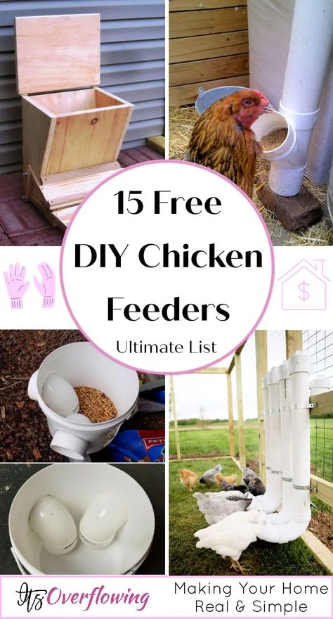 15 Homemade DIY Chicken Feeder Ideas Chicken Feed Diy, Homemade Chicken Feeder, Diy Chicken Feeder, Pet Chickens Breeds, Pvc Chicken Feeder, Chicken Feeder Diy, Chicken Coop Decor, Kat Diy, Poultry Feeders