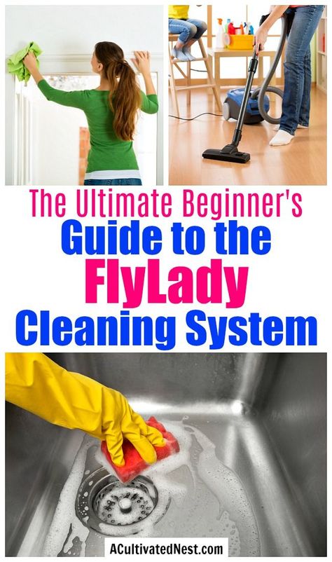 Fly Lady Cleaning, Fly Lady, Zone Cleaning, Deep Cleaning Hacks, Cleaning Painted Walls, Easy Cleaning Hacks, Apartment Decoration, Cleaning System, Deep Cleaning Tips