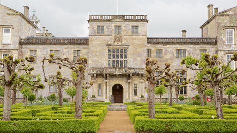 Wilton House, Wilton, Salisbury, Wiltshire, England, UK Tomb Raider Alicia Vikander, Castle Style Homes, British Manor, Wilton House, Salisbury Wiltshire, Country Cottage Homes, Heritage Architecture, Wiltshire England, Uk Trip