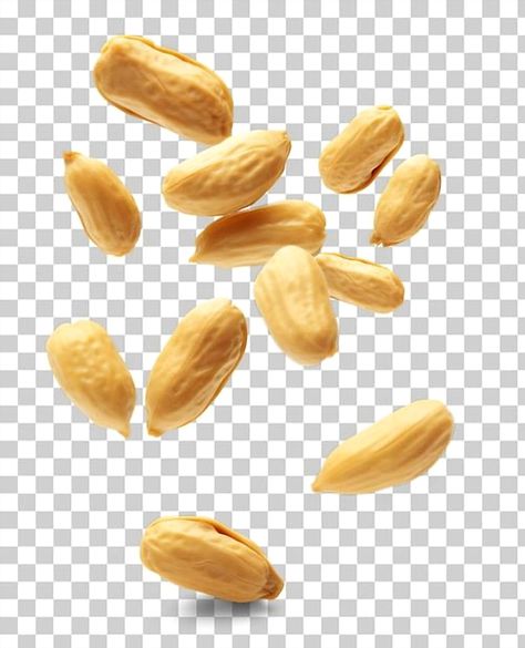 High-quality PSD of a falling peanut on a transparent background. Perfect for creative projects featuring cashews, almonds, and other nuts. Ideal for designers seeking premium resources. Nuts Design, Classic Mens Haircut, Hiring Poster, Peanut Candy, Ice Cream Design, Creative Advertising Design, Makeup News, Food Graphic Design, Cashew Nut