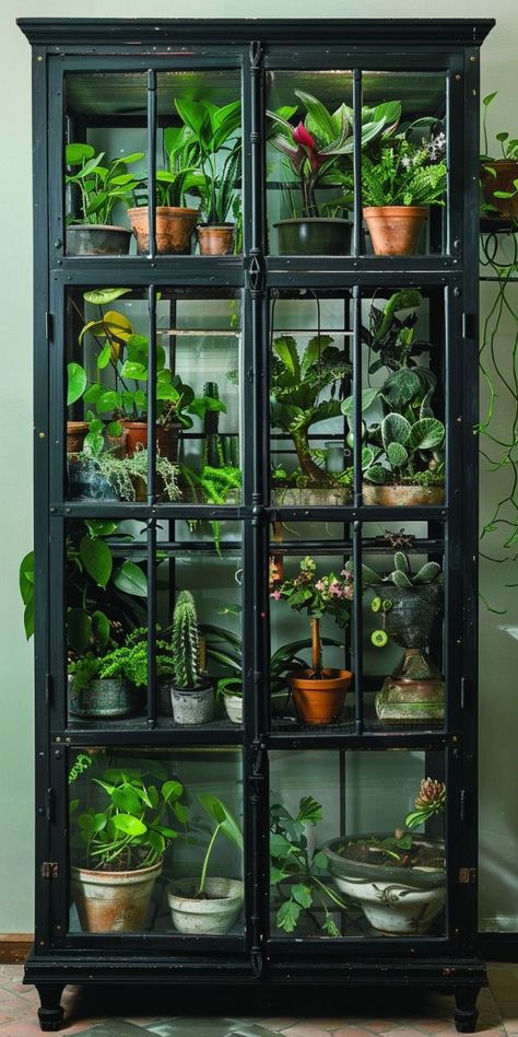 Plants House Aesthetic, Indoor Arboretum, Diy Plant Room, Large Terrarium Ideas, Indoor Plant Setup, Indoor Greenhouse Ideas, Plant Shop Aesthetic, Office Greenhouse, House Plant Display