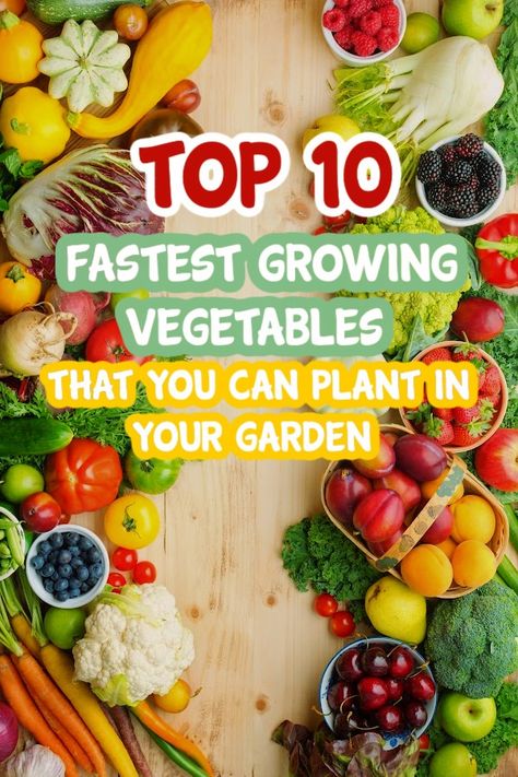 The Top 10 Fastest Growing Vegetables That You Can Plant In Your Garden https://dianfarmer.com/fast-growing-vegetables/ #moneysaver #debtfreeliving #GSFF #nodebt #family #financialindependence #financialpeace #savingplan #debtfree #savingstips #moneysaving #moneytips Growing Radishes, Fast Growing Vegetables, Composting Process, Vegetable Garden For Beginners, Natural Fertilizer, All Vegetables, Healthy Vegetables, Growing Seeds, Grow Your Own Food