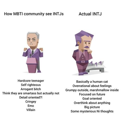 Intj Stereotypes, Intj X Istp, Istp Intj, Intj Things, Self Righteous, Intj Characters, Intj Humor, Intj Enfp, Intj Women