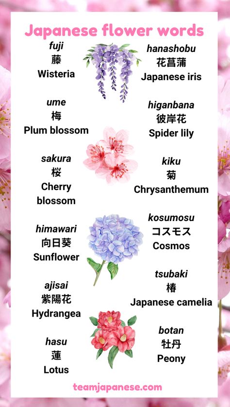 Many beautiful flowers have a special significance in Japanese culture! Learn popular Japanese flower words with this post. Visit Team Japanese to learn more about the culture and meaning behind these Japanese flower names :) Encouraging Japanese Words, Japanese Flowers Meanings, Japanese Flower Name, I Love You Too In Japanese, Beautiful Japanese Names And Meanings, Beautiful Japanese Words And Meanings, Japanese Nicknames For Boyfriend, Japanese Last Names And Meanings, Beautiful Words In Japanese