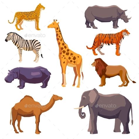 Africa animal decorative set with leopard zebra hippo giraffe camel elephant lion tiger rhino isolated vector illustration. Editab Tropical Flowers Illustration, Camels Illustration, Animal Templates, Africa Animals, Decorative Set, Big Animals, Wildlife Animals, African Animals, Animal Stickers