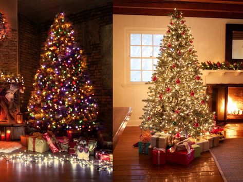 White Or Colored Christmas Tree Lights, Christmas With Colored Lights, Christmas Tree With White And Colored Lights, Colored And White Lights On Tree, Mixed Lights Christmas Tree, Multicolor Christmas Tree Lights, Traditional Christmas Tree With Colored Lights, Coloured Christmas Tree Lights, How To Decorate A Christmas Tree With Multi Colored Lights