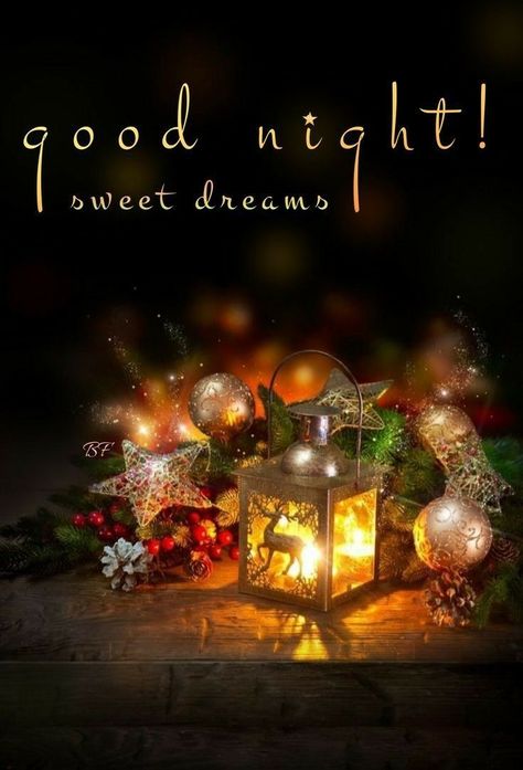 Christmas Good Night, Good Night Christmas, Funny Good Night Quotes, Goodnight Messages, Christmas Greetings Quotes, Good Night Sleep Well, Lovely Good Morning Images, Good Night Beautiful, Good Morning Greeting Cards