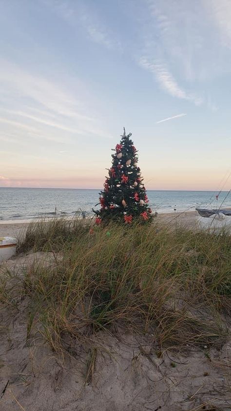 Florida Christmas Wallpaper, Beachy Christmas Outfits, Christmas On Beach, Beachy Christmas Wallpaper, Beach Christmas Wallpaper, Christmas At The Beach Aesthetic, Christmas In Florida Aesthetic, Tsitp Christmas, Costal Christmas Aesthetic