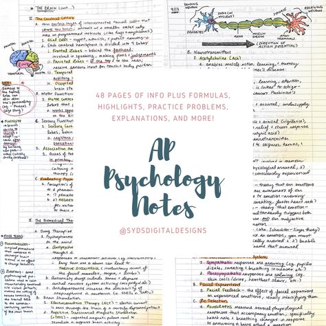 48 scanned pages of handwritten AP Psychology notes, including a table of contents, diagrams, illustrations, and highlights! These notes were taken during the 2020-21 school year, so all information is current and corresponds with each unit of the AP course. Also equivalent to an intro-level college psychology course (eg. Psychology I, Psychology 101, or Intro to Psychology). Check out my shop to see more products in my AP Notes collection! Introduction To Psychology Notes, Ap Psychology Notes, Notes With Drawings, Ap Notes, College Psychology, Psychology Course, Intro To Psychology, Psychology A Level, Introduction To Psychology