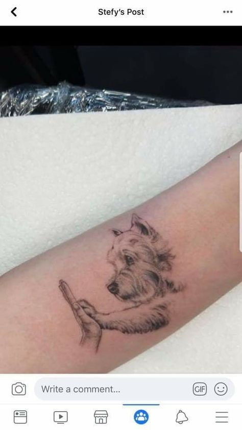 Dog Memorial Tattoos Yorkie, Tiny Yorkie Tattoo, Yorkiepoo Tattoo, Westie Tattoo Ideas, Yorkie Terrier Tattoo, Marshmallow Tattoo, Shihtzu Tattoos, Dog Sleeve Tattoo, Dog Collar Tattoo