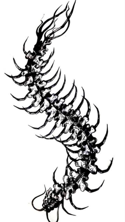 Skeleton Centipede Tattoo, Skeleton Centipede, Scary Centipede Tattoo, Centepide Tattoo Drawing, Centipede Tattoo, American Traditional Tattoo Ideas, Traditional Tattoo Ideas, Flower Tattoo Ideas, Bone Tattoo