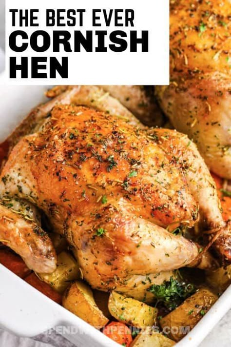 Baked Cornish Hen Recipe Ovens, Cornish Hen Recipe Roasted, Cornish Hen Recipe Baked, Cornish Hen Recipe Easy, Cornish Hen Recipes Oven, Baked Cornish Hens, Cooking Cornish Hens, Game Hen Recipes, Cornish Game Hen Recipes