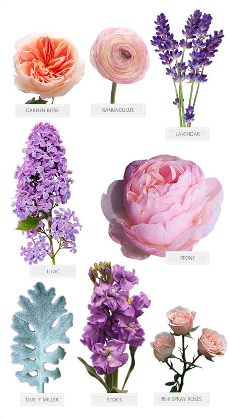 Flower Recipes Arrangement, Flowers With Names, Flower Recipe, Flower Recipes, Bouquet Recipe, Different Types Of Flowers, Desired Reality, Flower Guide, Purple Wedding Flowers