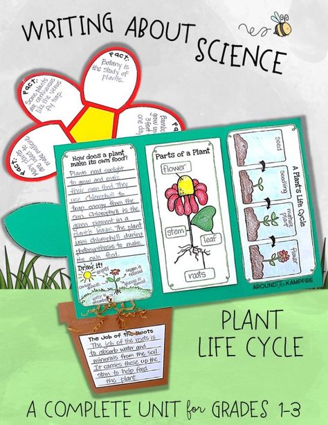 Plant life cycle activities-Writing to define, label, research, and explain. Part of a complete science unit for teaching the plant life cycle for 1st, 2nd, and 3rd grade. Plant Unit Kindergarten, Plant Lap Book, Life Cycle Of Plants, Plants Life Cycle Activities, Plants Science, Teaching Plants, Plant Lessons, Second Grade Science, Life Cycles Activities