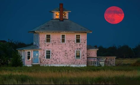 Cape Ann, Pink House, Pink Houses, New Town, Gloucester, Fantastic Beasts, Detective, Cool Pictures, Cape