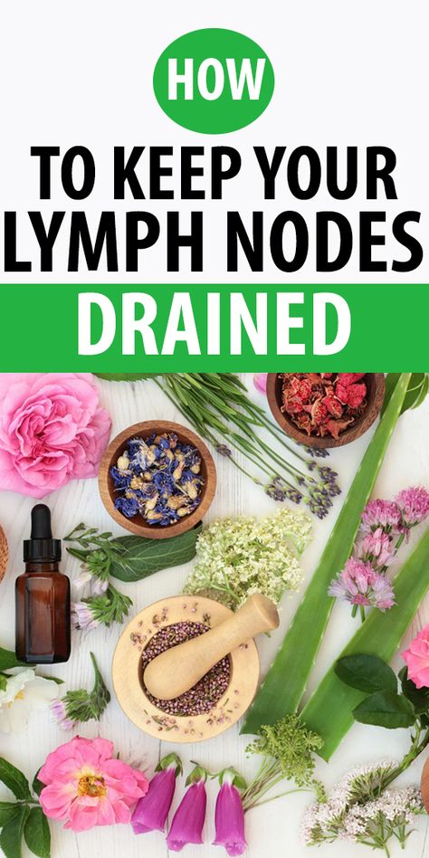 Lymph Drainage Massage, Lymph Glands, Lymph Massage, Lymph System, Lymph Drainage, Health And Fitness Magazine, Lymph Nodes, Good Health Tips, Natural Health Remedies