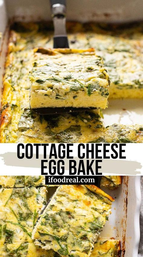 High protein Cottage Cheese Egg Bake with a fluffy blend of eggs, cheese, and spinach. Only 7 ingredients, perfect for meal prep or Holidays! Cottage Cheese Spinach Egg Bake, Sheet Pan Eggs With Cottage Cheese, Egg And Cottage Cheese Casserole, Cottage Cheese Breakfast Casserole, Egg Cottage Cheese Casserole, Eggs Cottage Cheese Breakfast, High Protein Breakfast Bake, Baked Cottage Cheese Eggs, Egg Casserole With Cottage Cheese