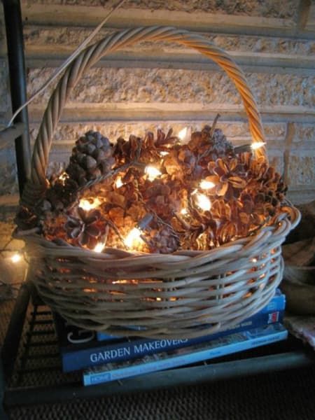 White Christmas Lights, Dekor Diy, Pine Cone Decorations, Cones Crafts, Pine Cone Crafts, Noel Christmas, Fall Decor Diy, Thanksgiving Decor, Fall Diy