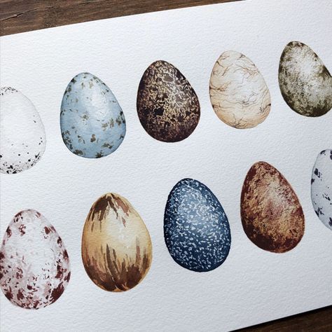 How to Paint Bird Eggs in Watercolour - Sharone Stevens Design Dry Brush Technique, Different Birds, Bird Eggs, Daily Painting, Online Class, Bird Drawings, Watercolor Bird, Learn To Paint, Birds Painting